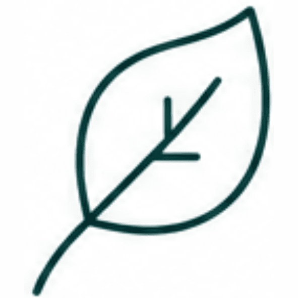 leaf.png